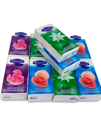 10pcs Pocket Tissue