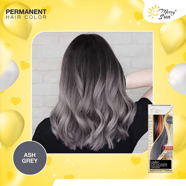 MerrySun Permanent Hair Ash Grey