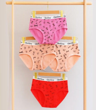 Women's Cotton Panties 4pcs