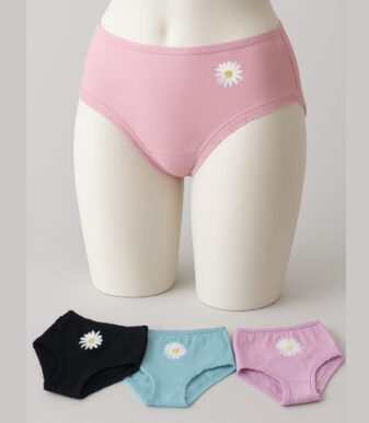 Women's Cotton Panties 4pcs