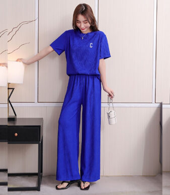 Summer Chic Pleated Embroidery Duo Set